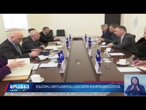 შეხვედრა ევროკავშირის სპეციალურ წარმომადგენელთან